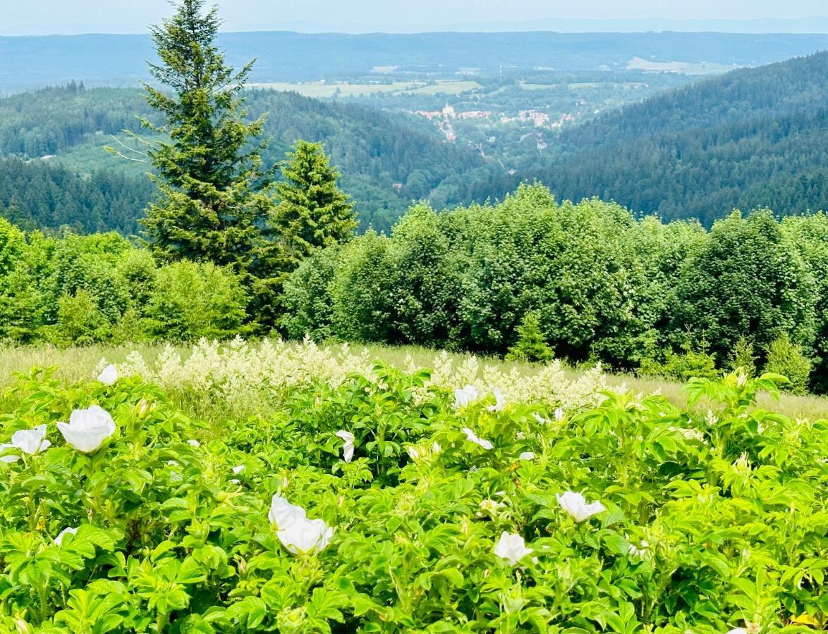 Apartamenty Innwersja Duszniki Zdrój Exteriör bild